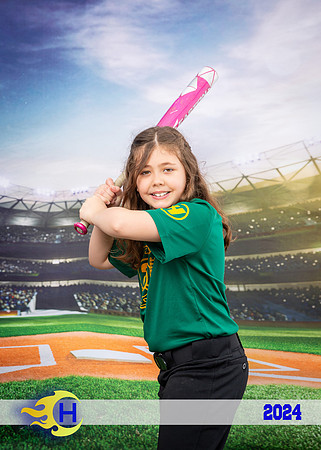Hudson Little League_0022