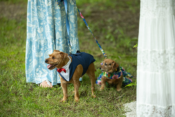 Wedding_0070
