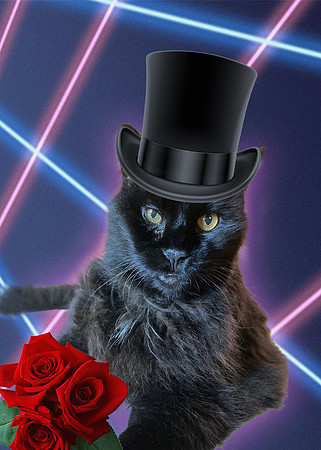 lennythetophatcat
