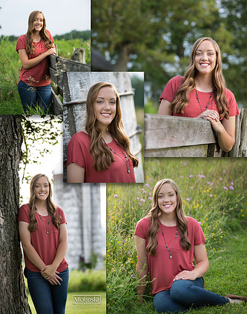 collage outdoor