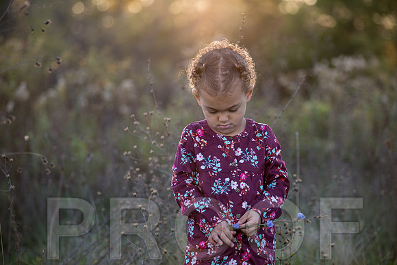 Brantley Family_0006