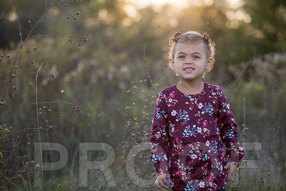 Brantley Family_0008