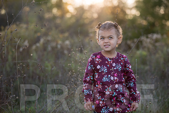 Brantley Family_0009