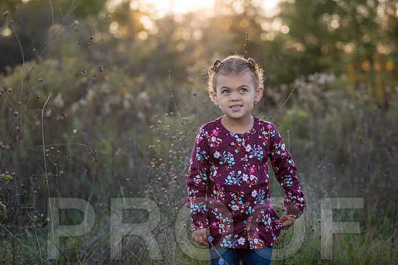 Brantley Family_0011