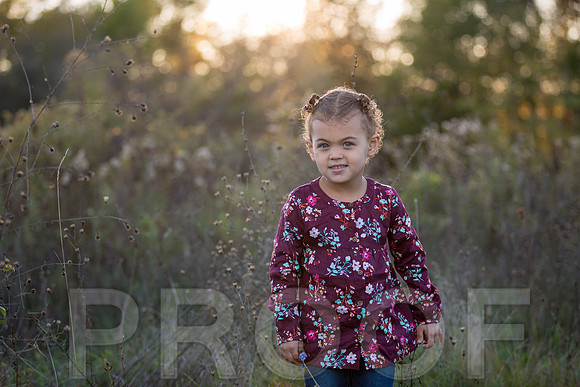 Brantley Family_0013