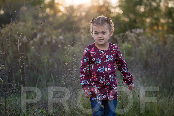 Brantley Family_0014