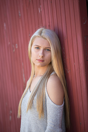 Ashley_0028