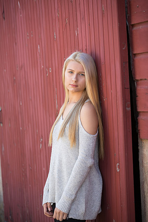Ashley_0029
