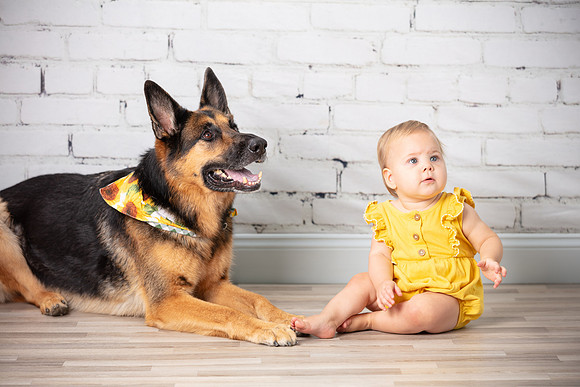Stevens Family_0089