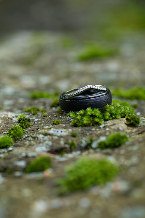 Petty Wedding_0276