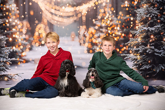 Holiday Portraits_0016