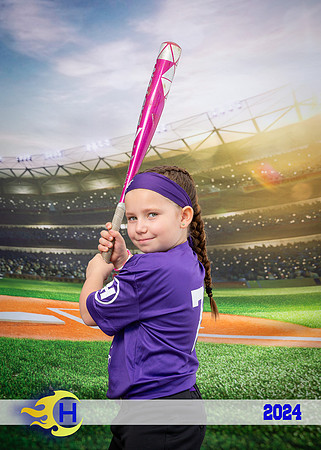 Hudson Little League_0062