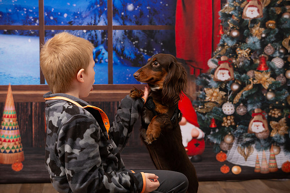 Holiday Portraits_0034