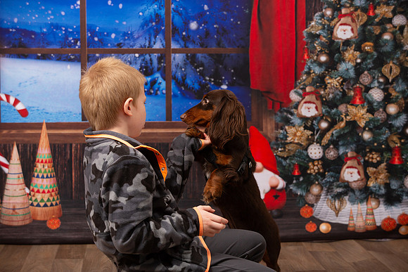 Holiday Portraits_0035