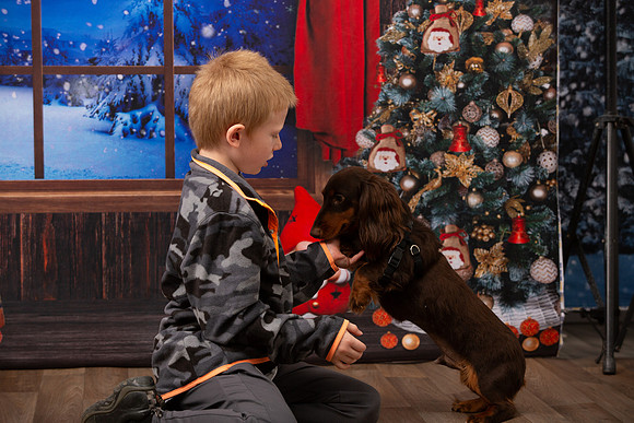 Holiday Portraits_0041