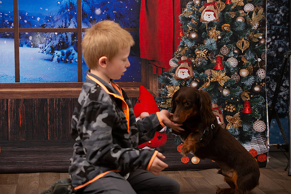 Holiday Portraits_0042