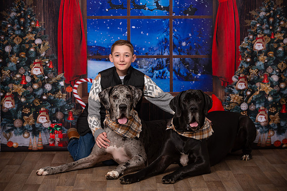Holiday Portraits_0029