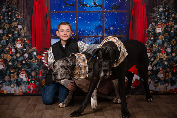 Holiday Portraits_0032