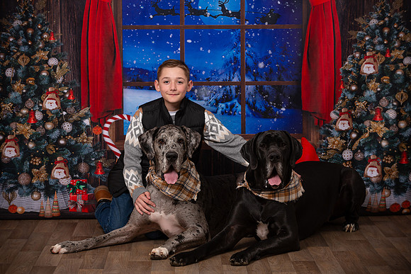 Holiday Portraits_0030