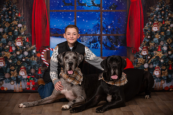 Holiday Portraits_0031