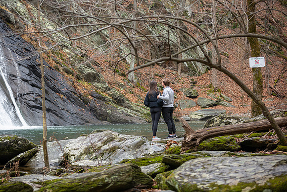 Proposal_0013