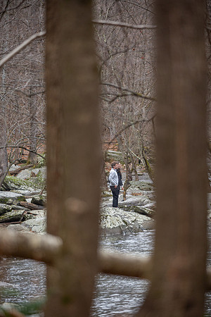 Proposal_0009