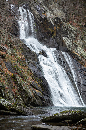 Proposal_0017