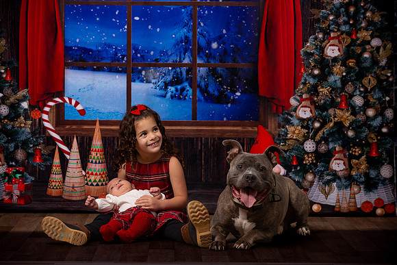 Holiday Portraits_0005