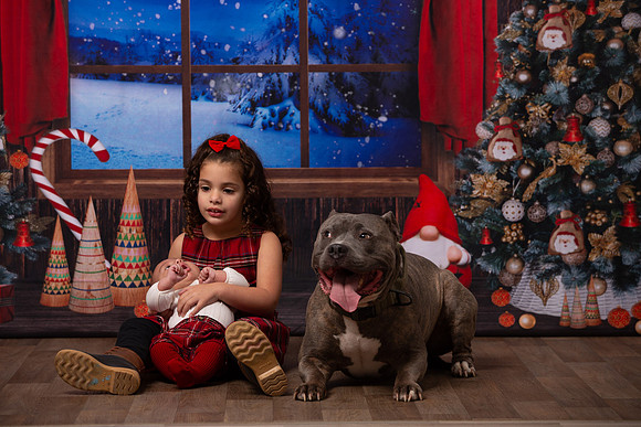 Holiday Portraits_0046