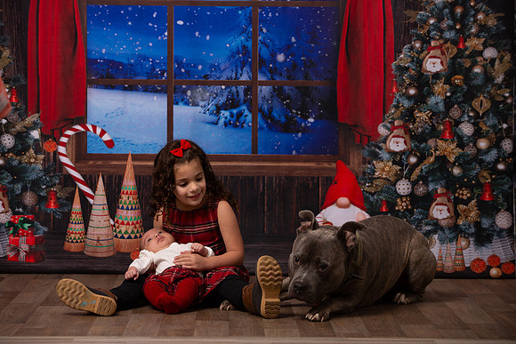 Holiday Portraits_0047