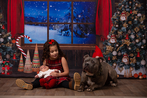 Holiday Portraits_0048