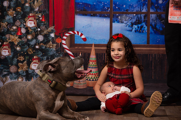 Holiday Portraits_0052