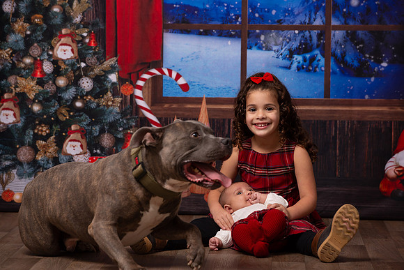 Holiday Portraits_0053