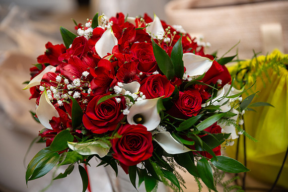 Tetreault Wedding_0089