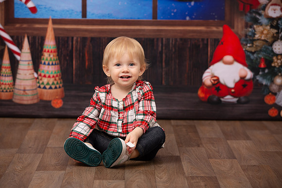 Holiday Portraits_0031