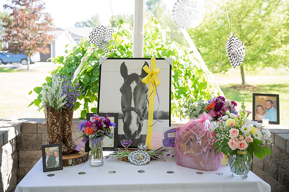 Nolan-Pulver Wedding Portraits_0014