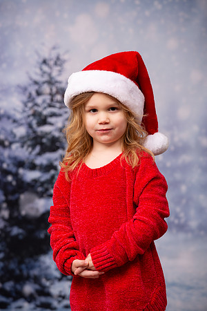 Holiday Portraits_0028
