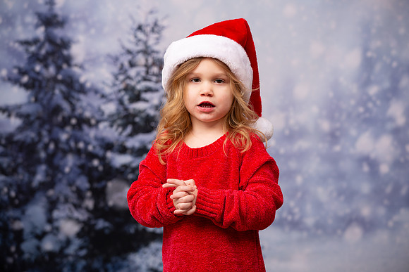 Holiday Portraits_0032
