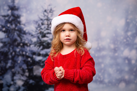 Holiday Portraits_0033