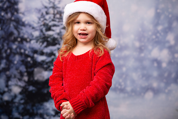 Holiday Portraits_0038