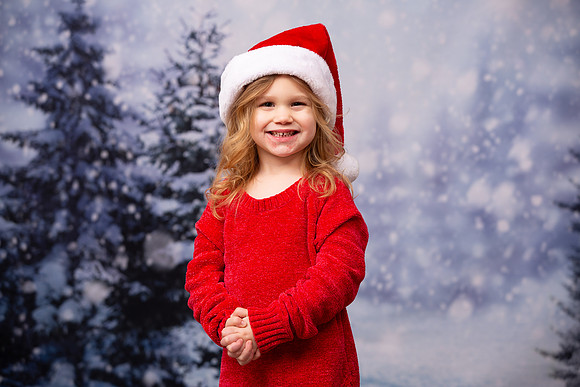 Holiday Portraits_0040