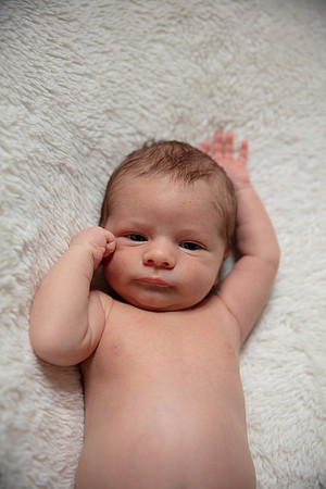Dawson Newborn_0012