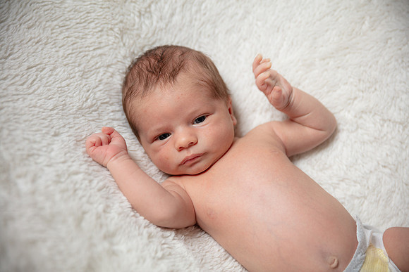 Dawson Newborn_0039