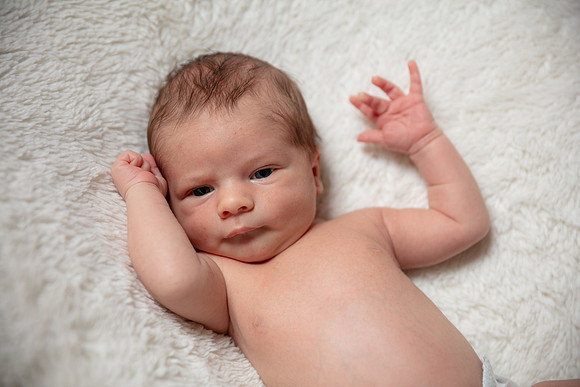 Dawson Newborn_0040
