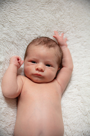 Dawson Newborn_0046