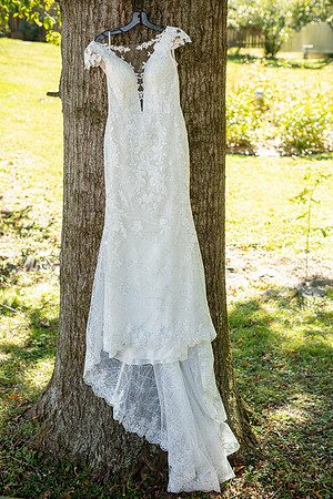 O'Connell Wedding_0093
