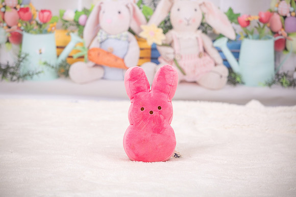 Easter Portraits_0017