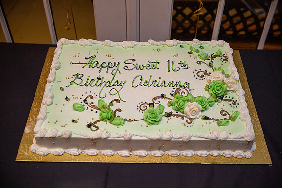 Adrianna Party_0183