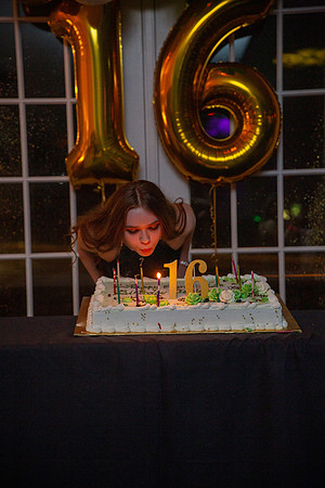 Adrianna Party_0193