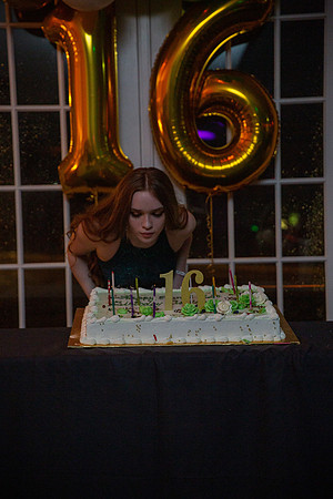 Adrianna Party_0194